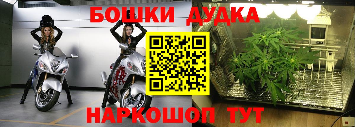 Бошки Шишки марихуана  Вход с VPN  Шишки марихуана конопля  Бузулук 